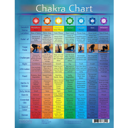 Charte Chakras Anglais (37310)