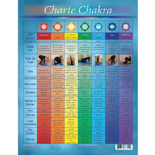 Charte Chakras Francais (37311)