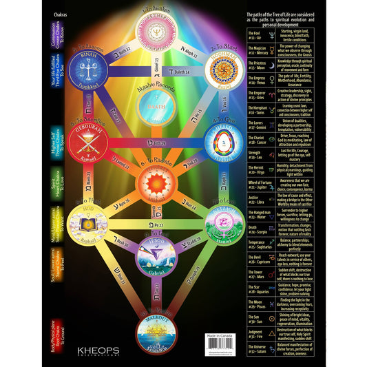 Charte Tree of Life Anglais seulement (37314)