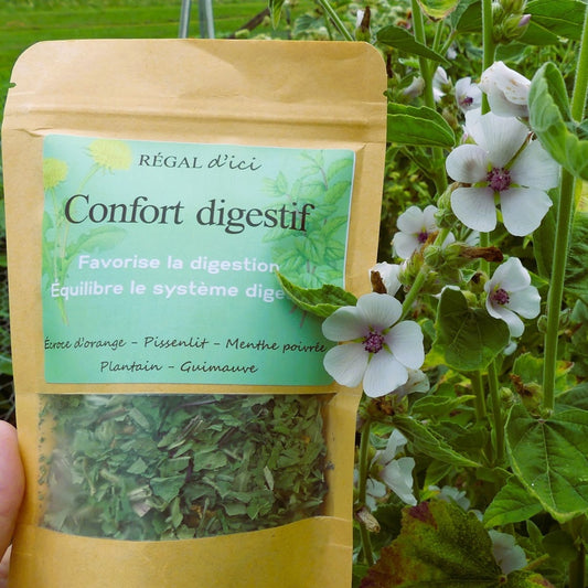 Tisane Confort Digestif (20 g)