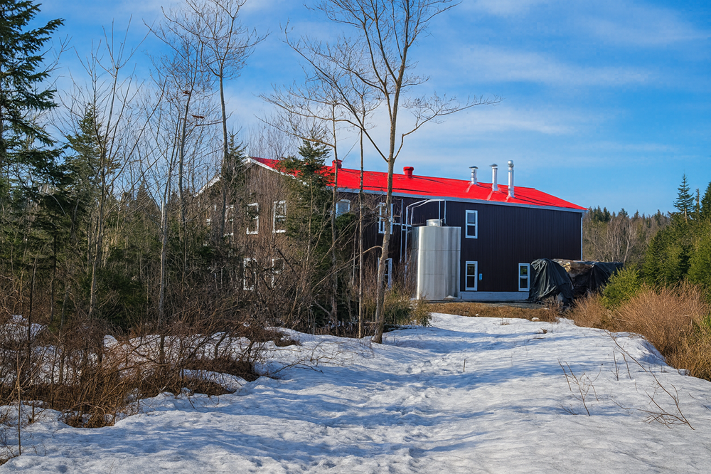 🍁Une érablière au coeur de la Cité