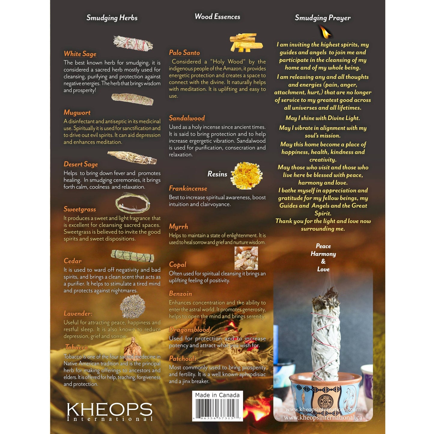 Fumigation Charter English (37315)