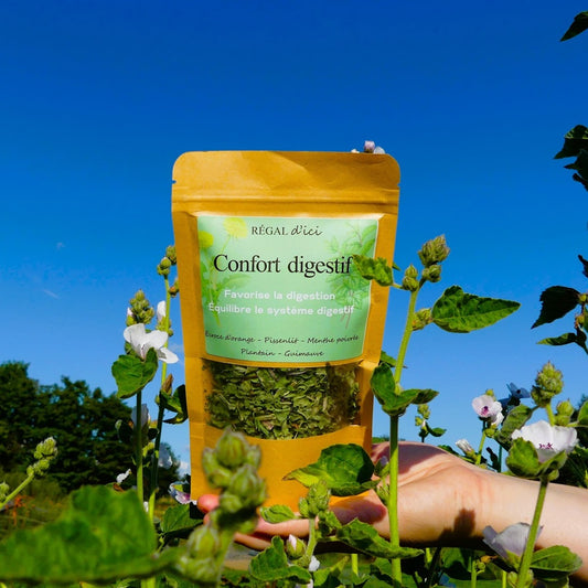 Tisane Confort Digestif (20 g)